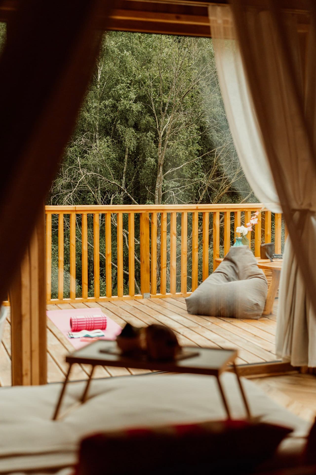 Domek na Drzewie 6 - Bocian - 5