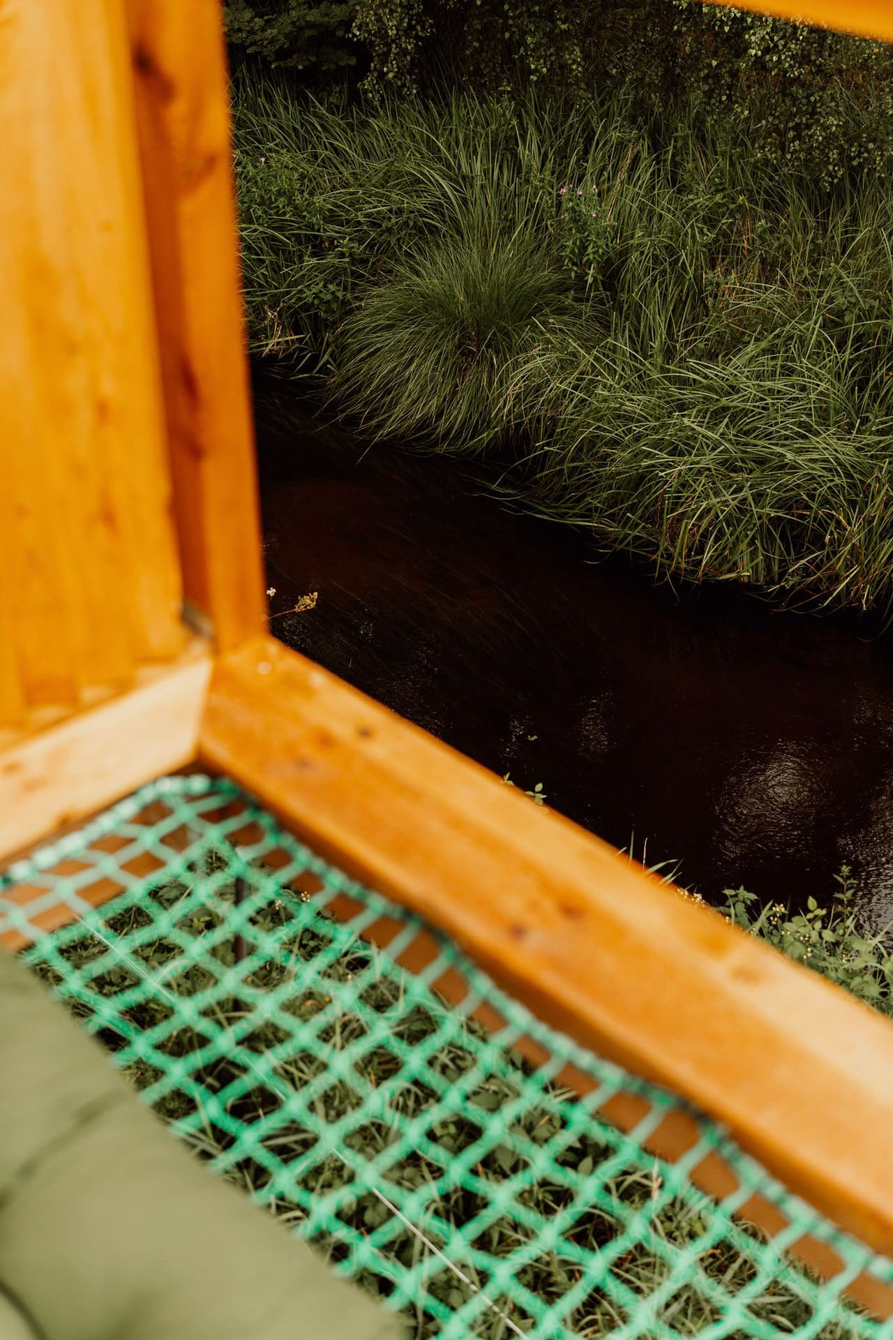 Domek na Drzewie 5 - Kos - 5