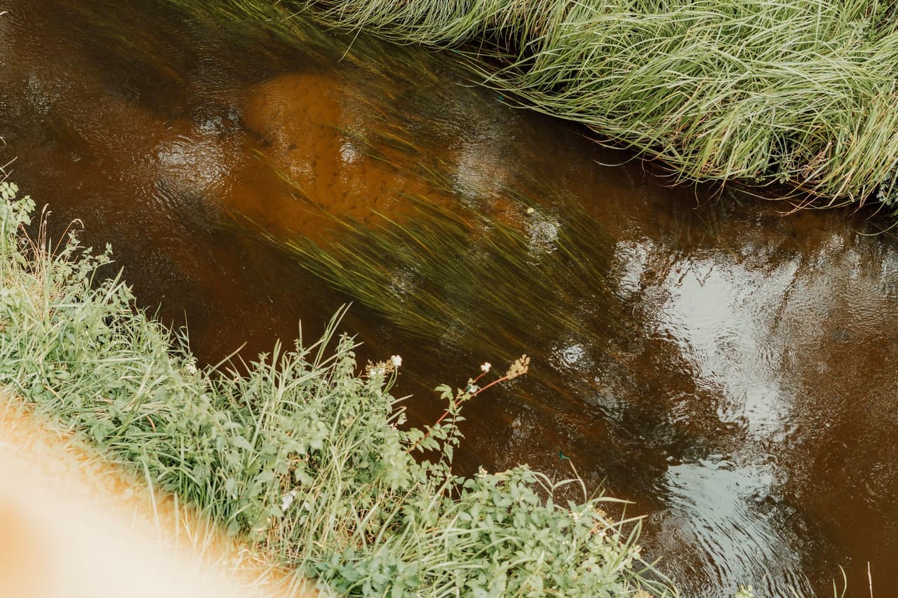 Domek na Drzewie 5 - Kos - 39