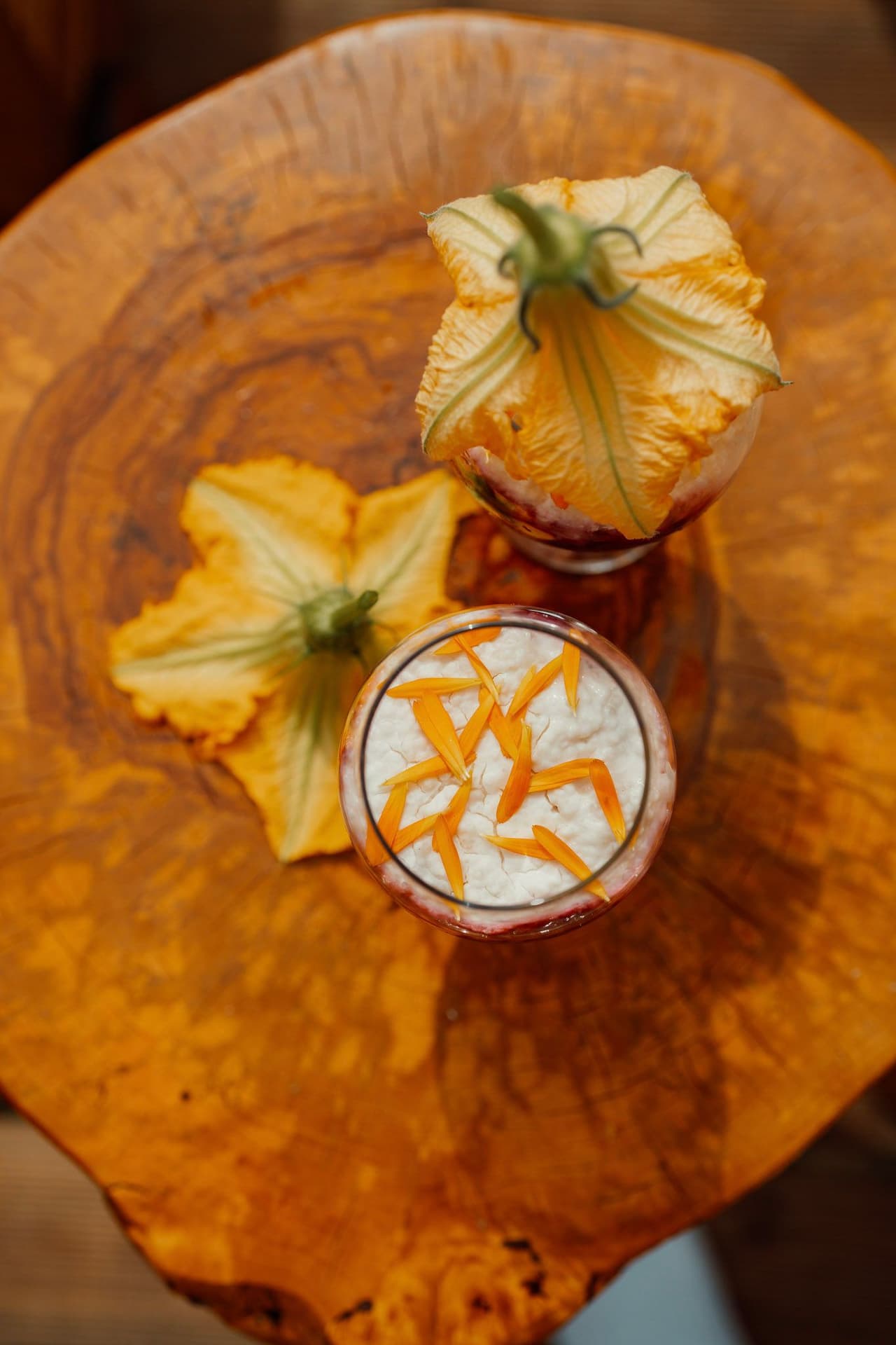 Domek na Drzewie 4 - Sójka - 36