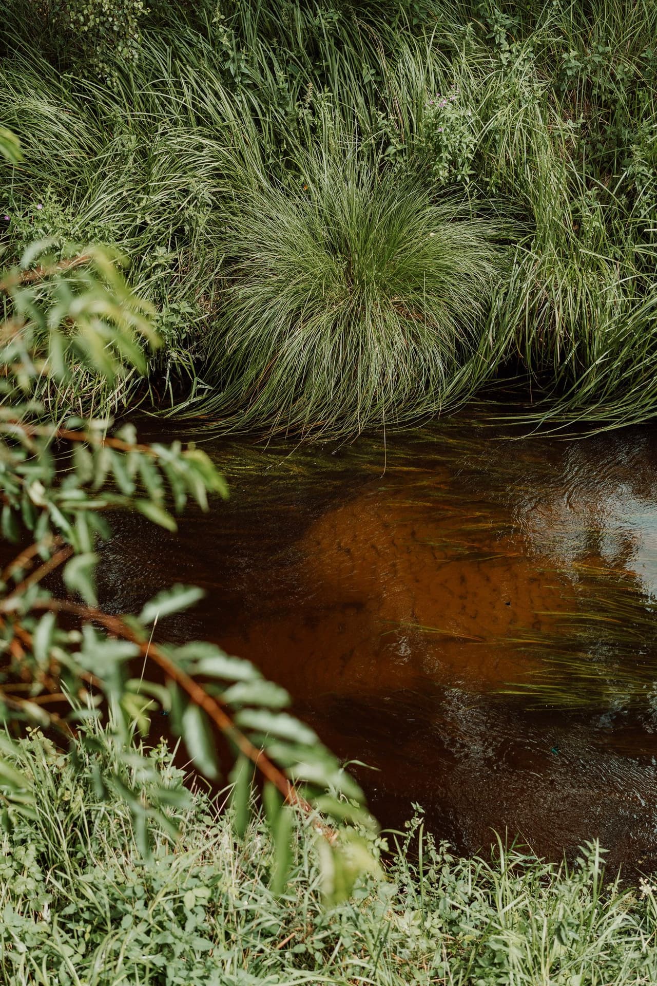 Domek na Drzewie 4 - Sójka - 28