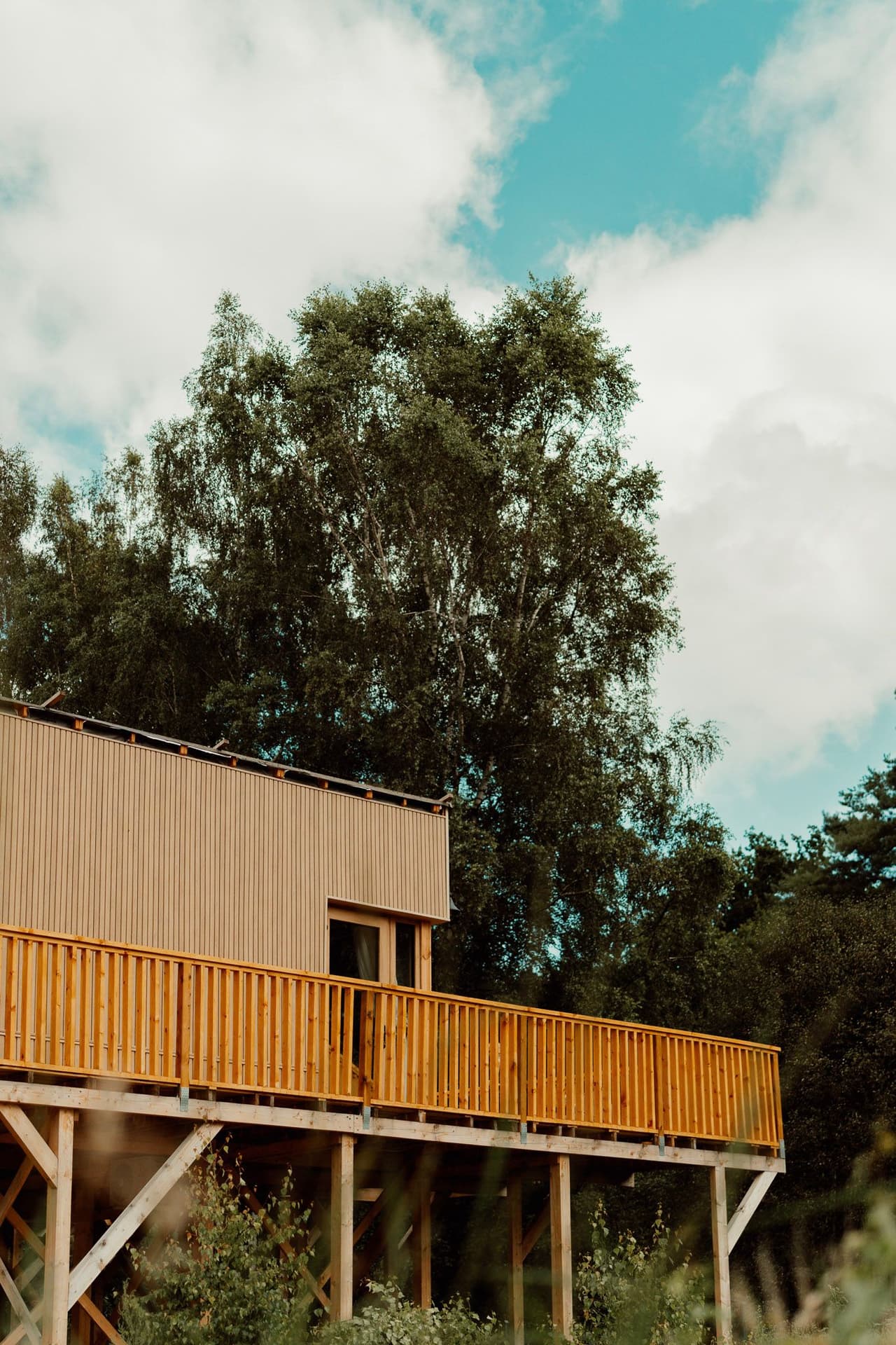 Domek na Drzewie 4 - Sójka - 19