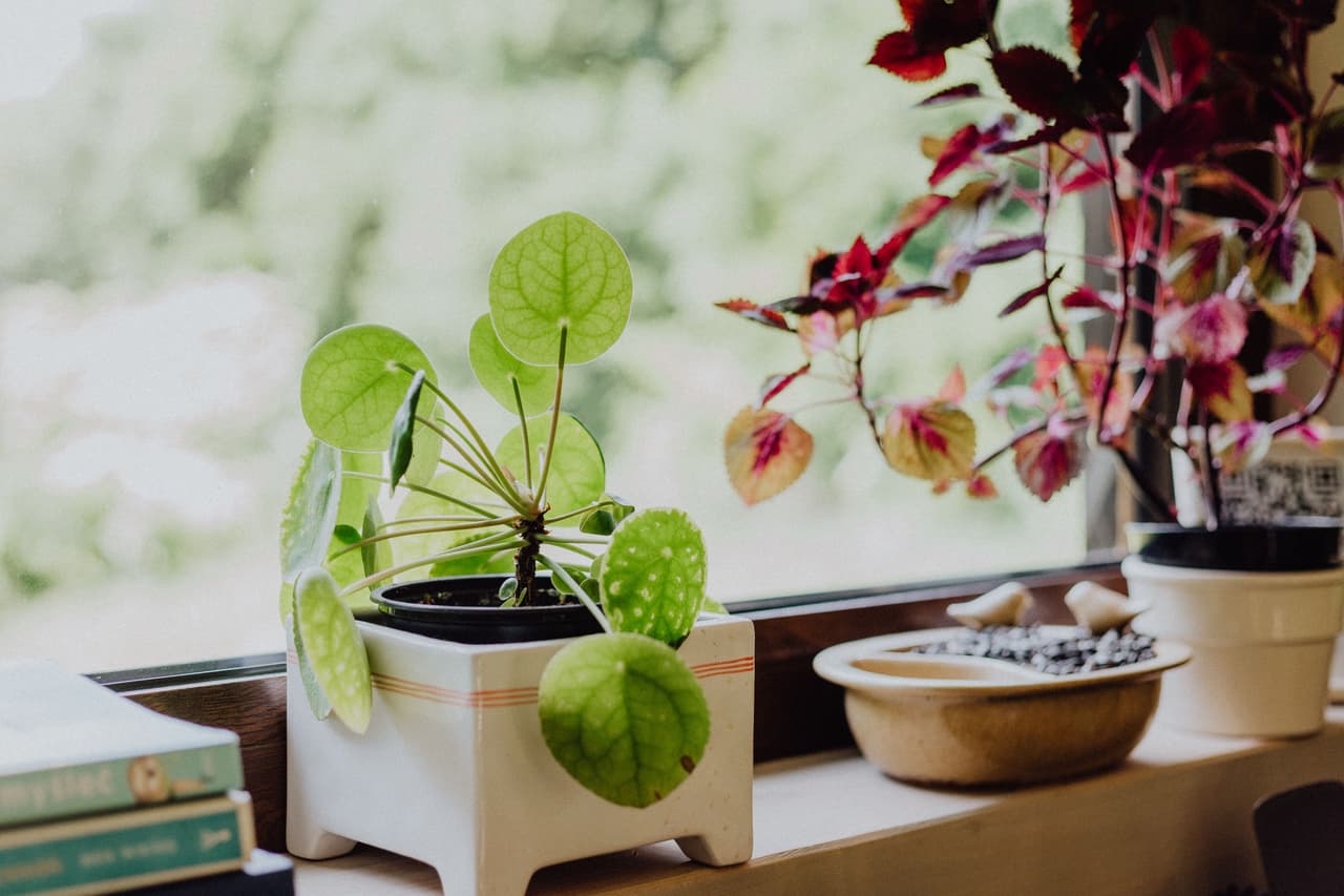 Rozpieszczalnia Leśna SATORI LOUNGE - 21