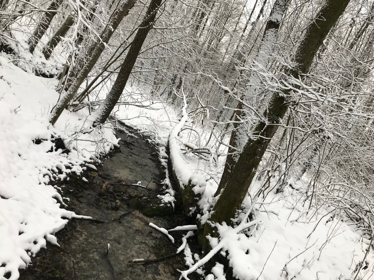 Rozpieszczalnia Leśna SATORI LOUNGE - 50