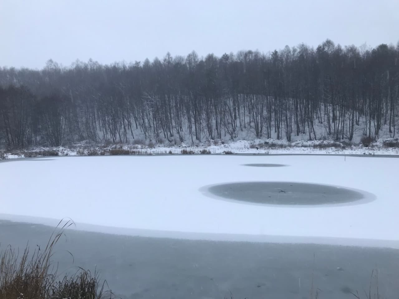 Rozpieszczalnia Leśna SATORI LOUNGE - 51