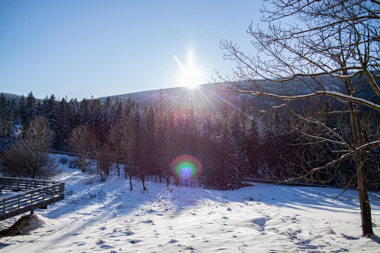 Namiot Teatralny - 9