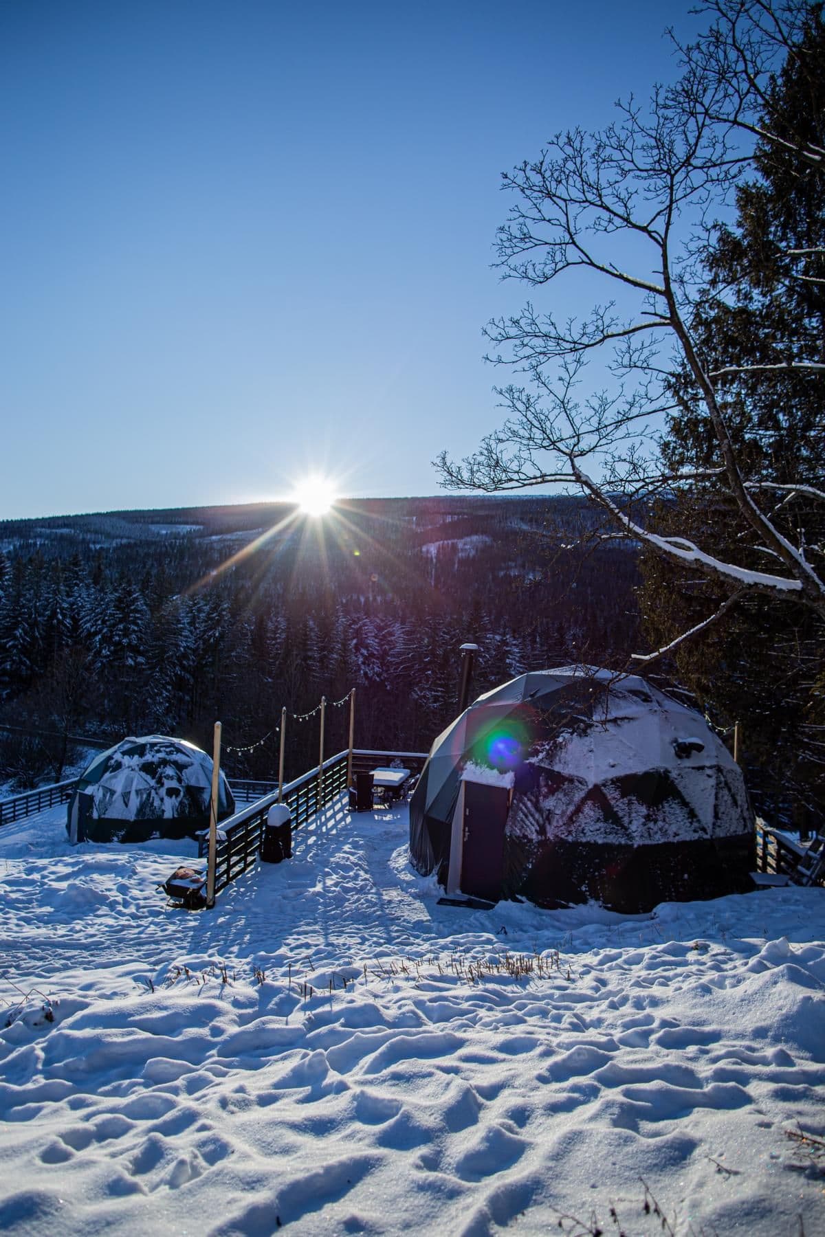 Namiot Teatralny - 10