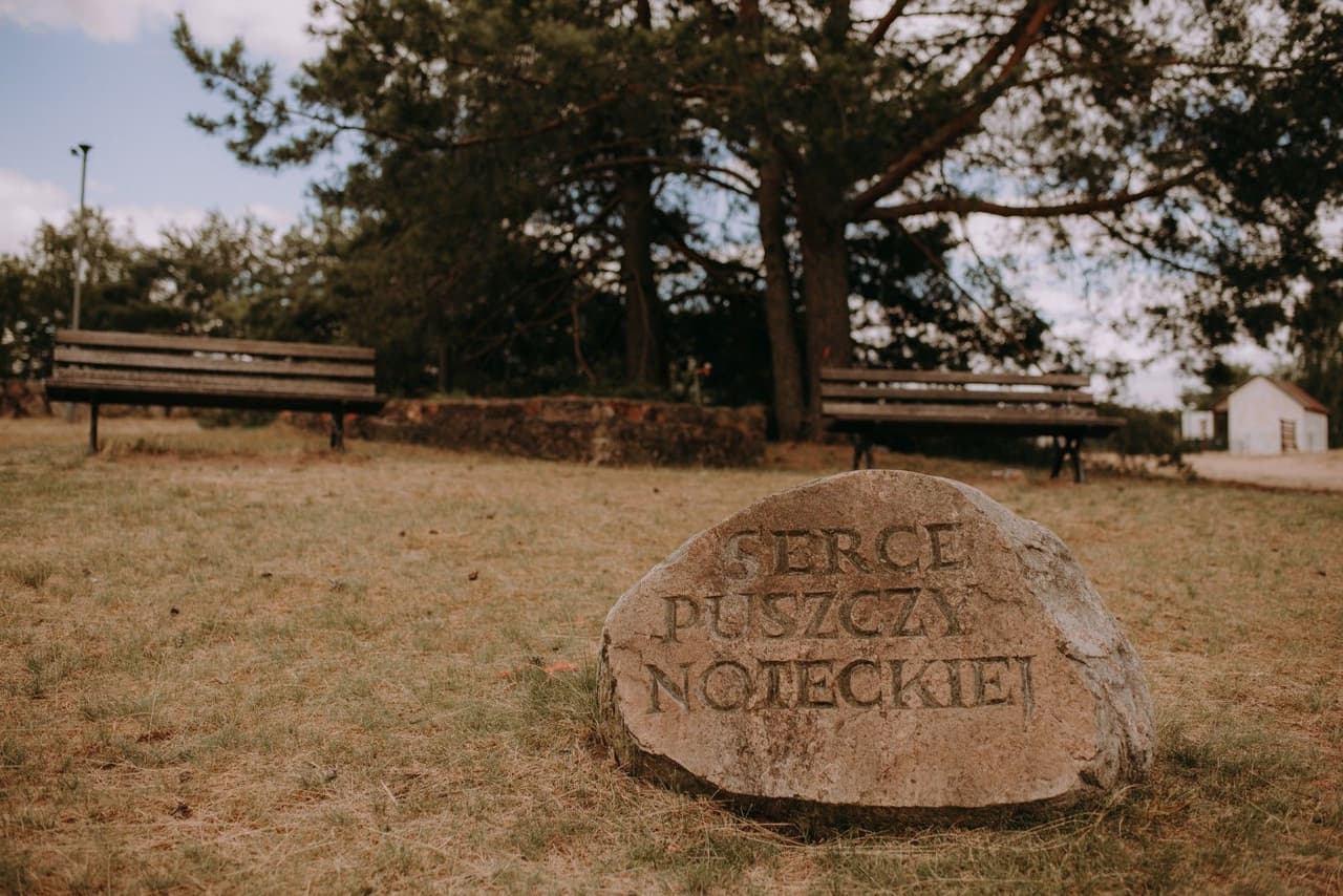 Biała Dom z Widokiem - 7