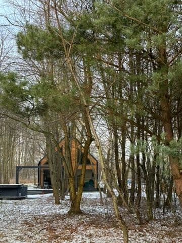 GreenWood I - Dom z Jacuzzi i furtką do lasu - 3