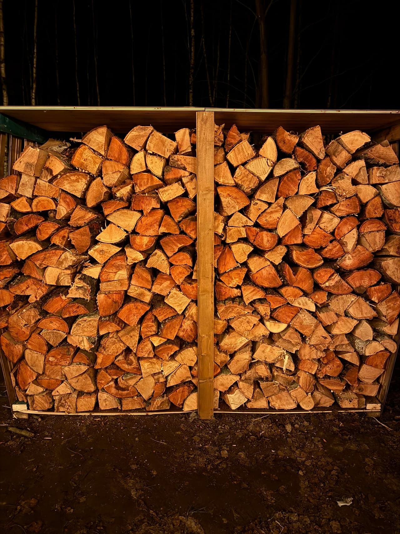 GreenWood I - Dom z Jacuzzi i furtką do lasu - 4