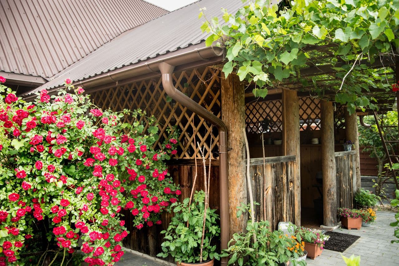 Chałupka na Brodziakach - 1