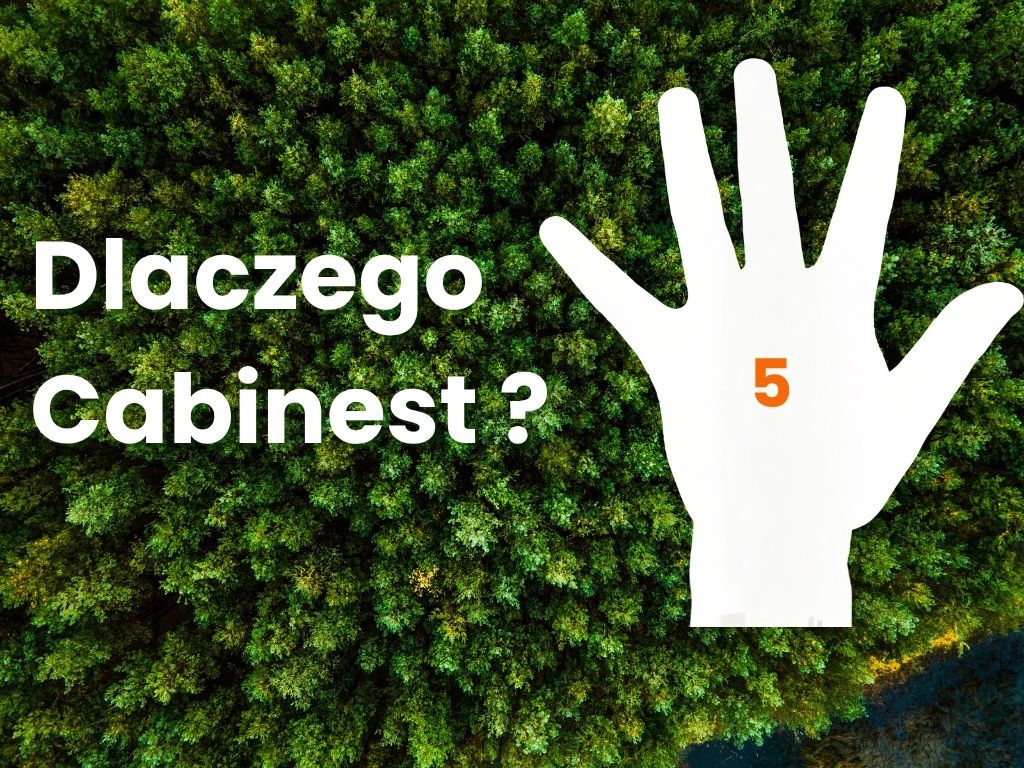 Dlaczego Cabinest? 5 powodów, dla których warto nam zaufać.